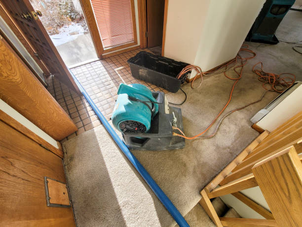 Best Water damage cleanup near me  in Lake Hallie, WI