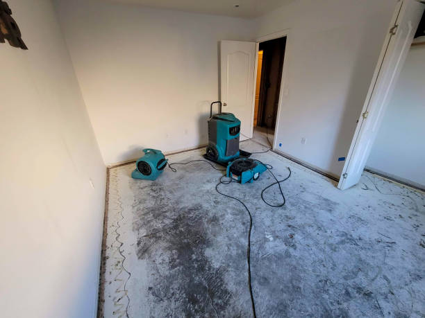 Best Flood damage cleanup  in Lake Hallie, WI