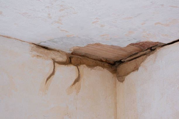 Water damage restoration experts in WI