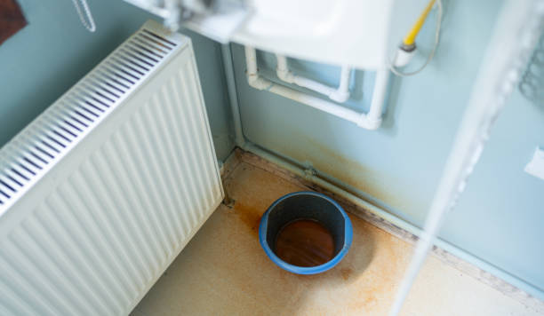 Best Water damage restoration near me  in Lake Hallie, WI