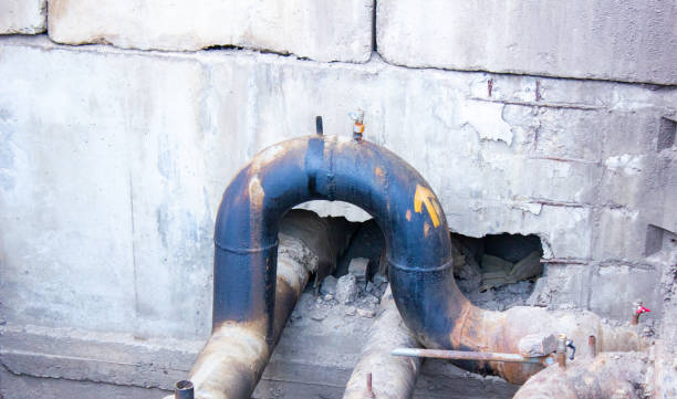 Best Flood restoration services  in Lake Hallie, WI