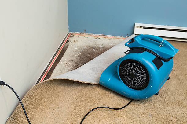  Lake Hallie, WI Water damage restoration Pros